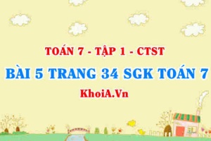 Bài 5 trang 34 SGK Toán 7 chân trời sáng tạo tập 1